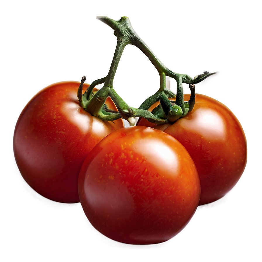 Juicy Tomato Png 29