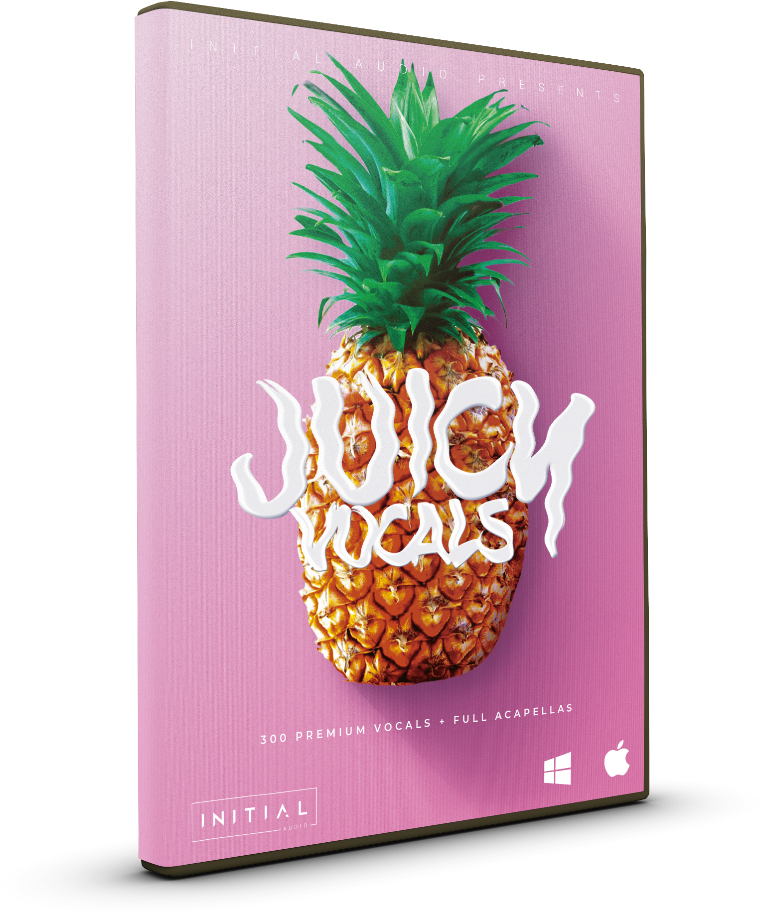 Juicy Vocals Audio Product Packaging