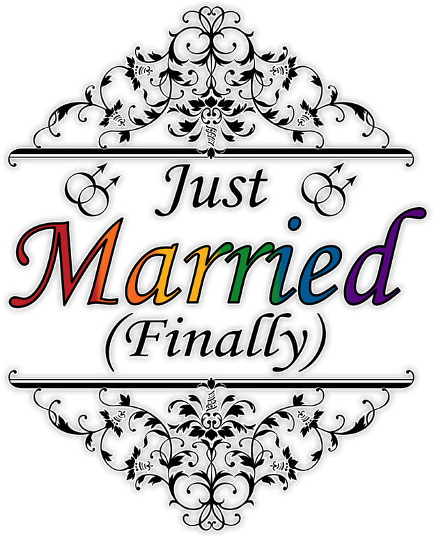 Just Married Finally Artwork