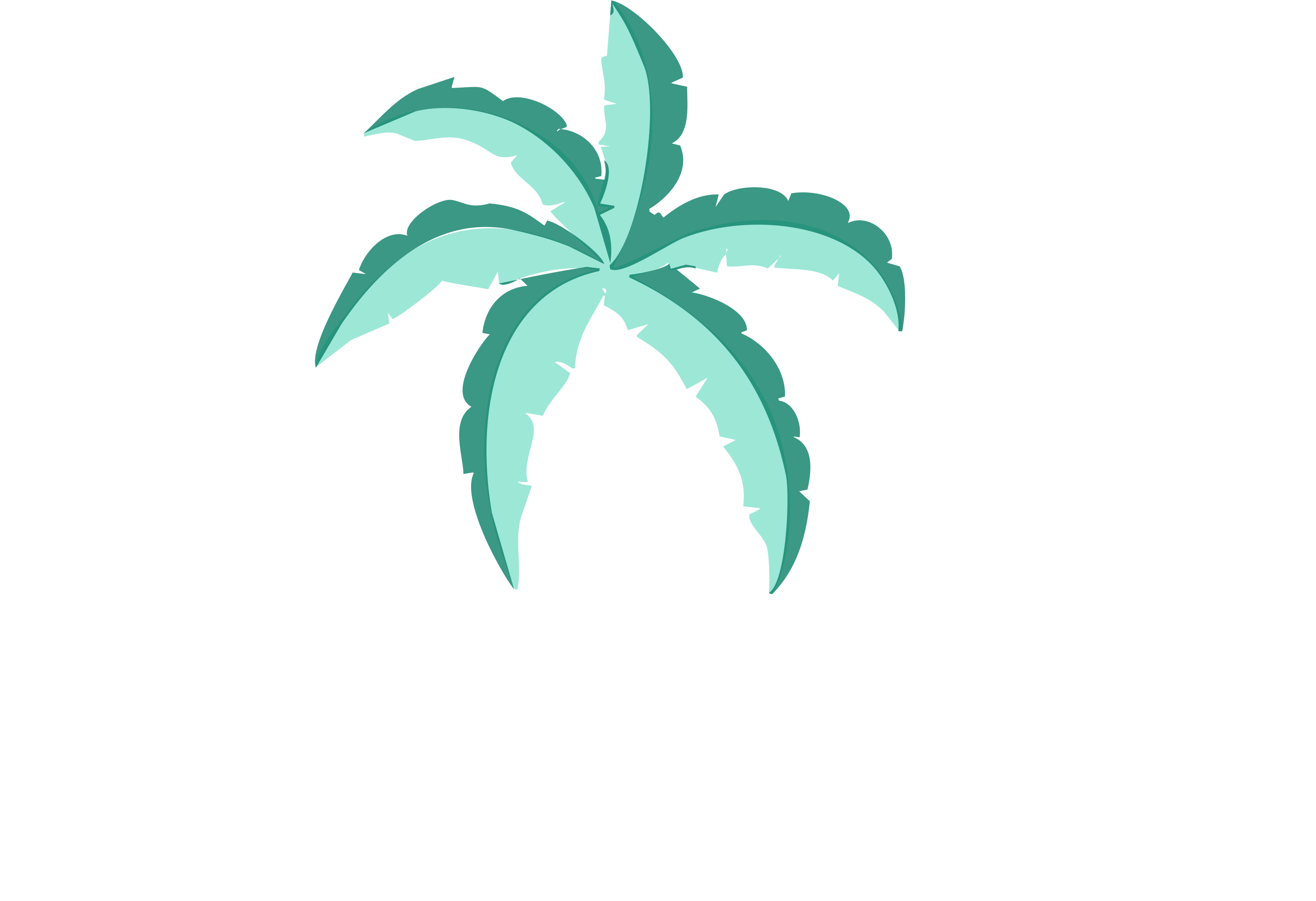 Kalipay Coconut Tree Logo