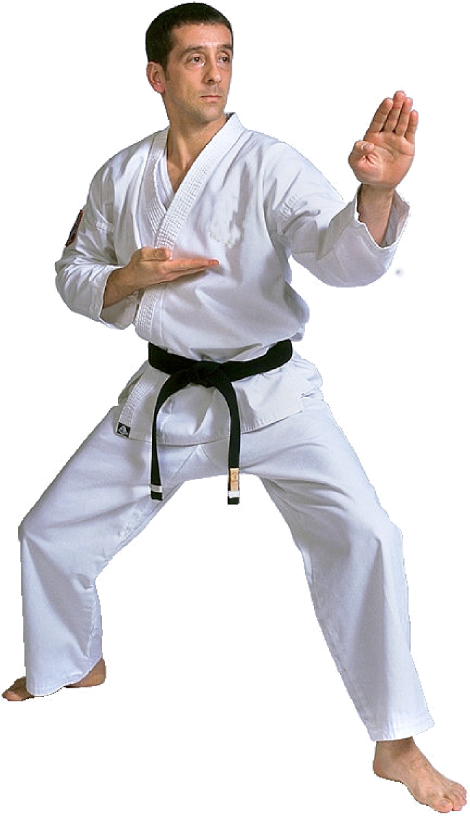 Karate Black Belt Stance