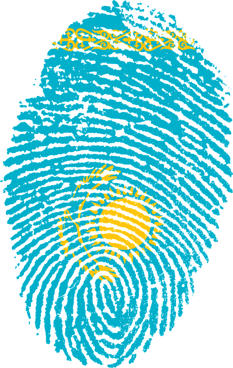 Kazakhstan Flag Fingerprint