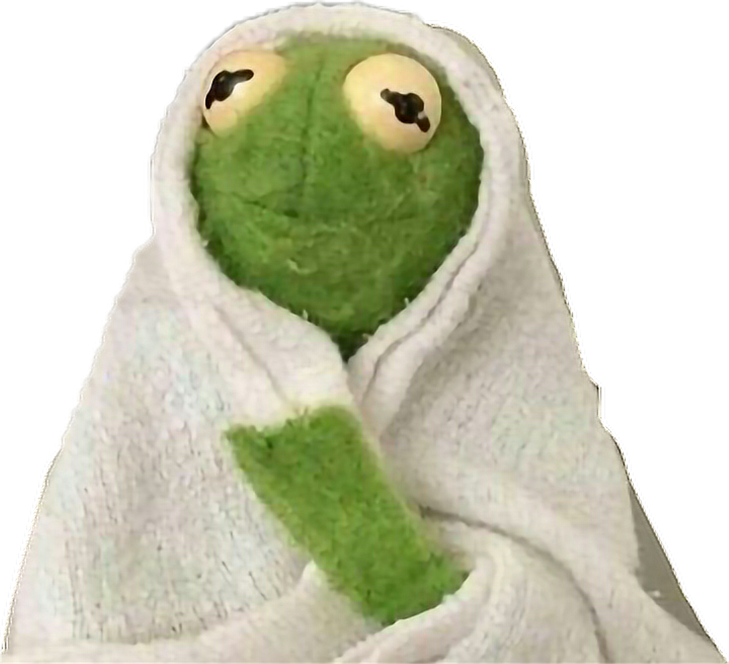 Kermit Wrappedin Towel
