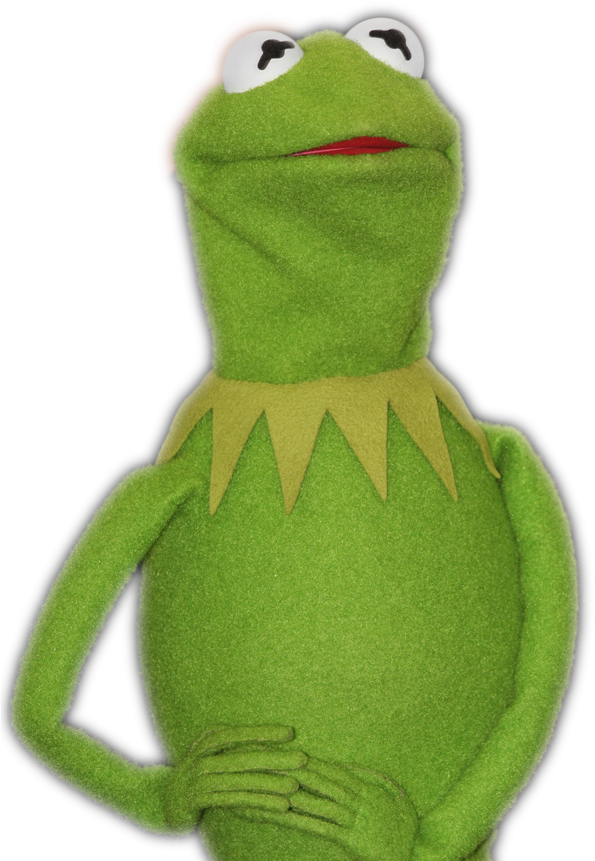 Kermitthe Frog Portrait