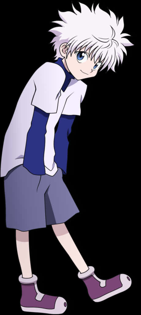 Killua Zoldyck Anime Character