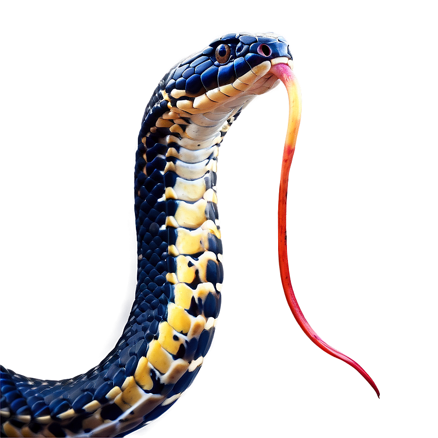 King Cobra Snake Png 05032024