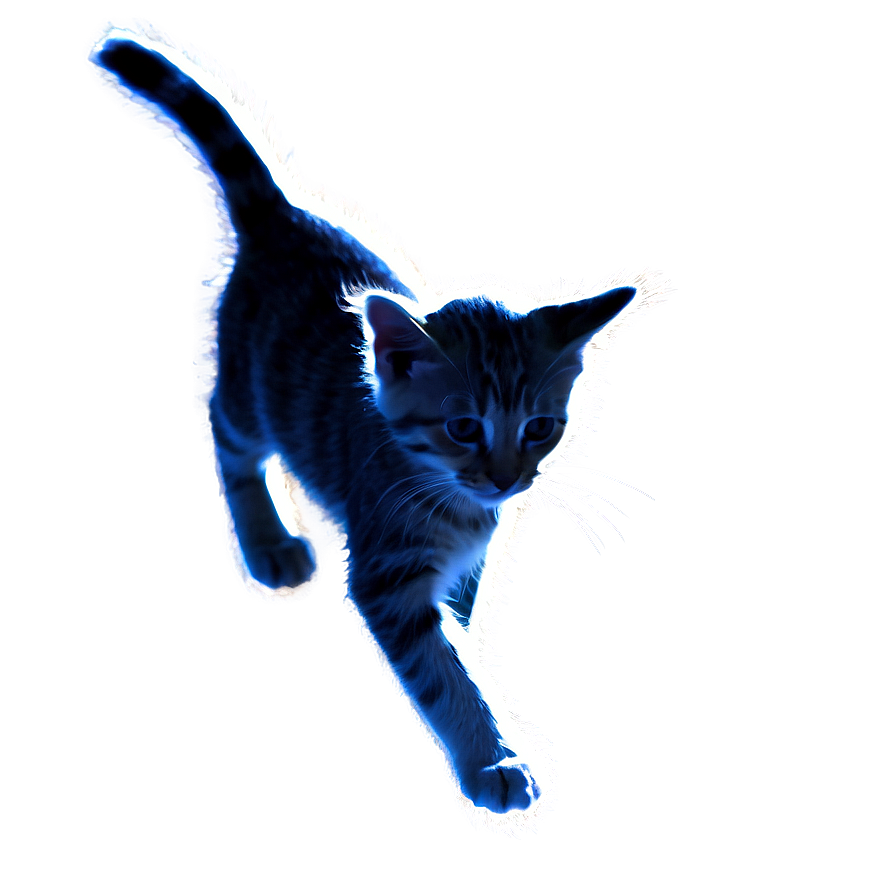 Kitten Ear Silhouette Png 38