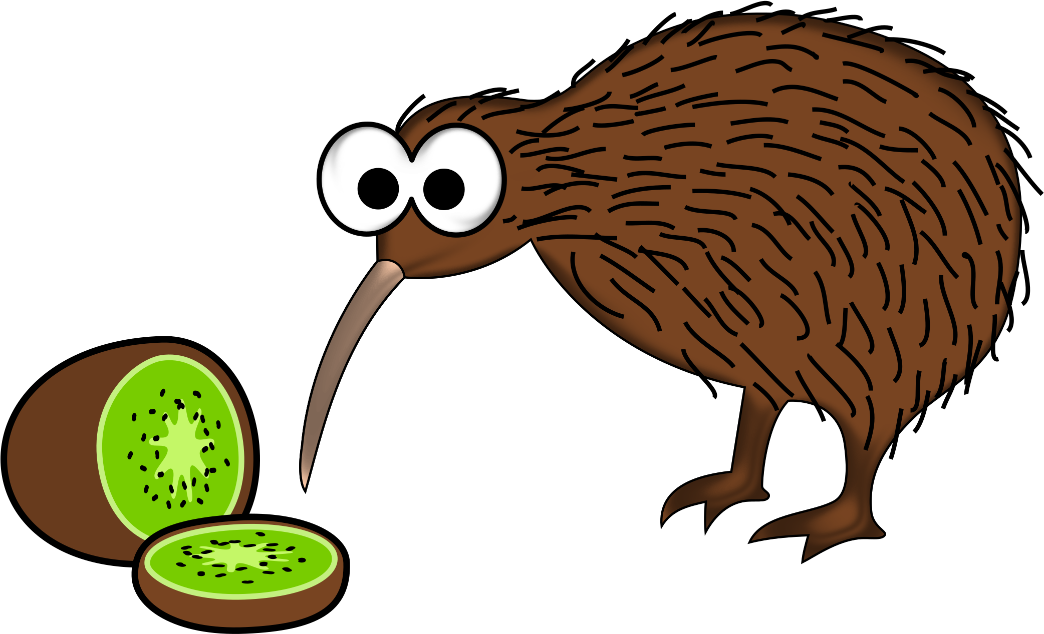 Kiwi Birdand Kiwi Fruit Cartoon