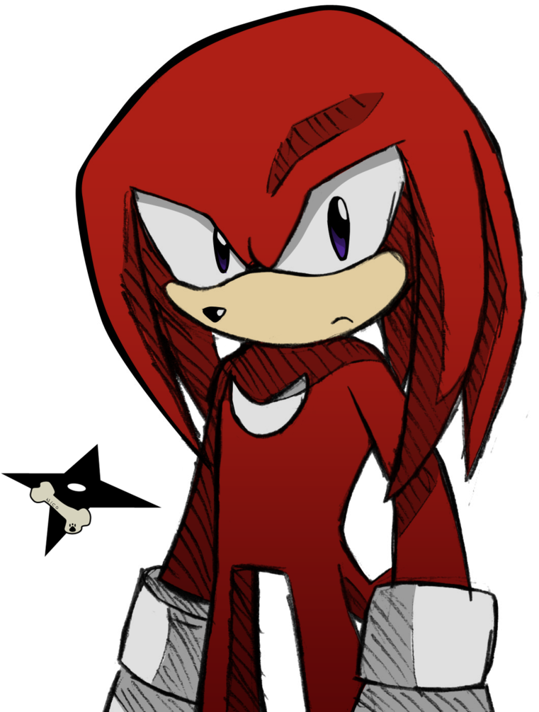 Knuckles The Echidna Standing Pose