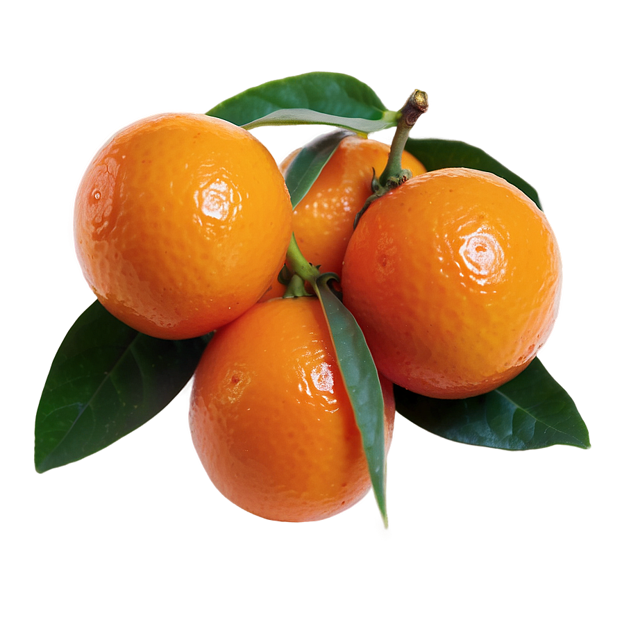 Kumquat B