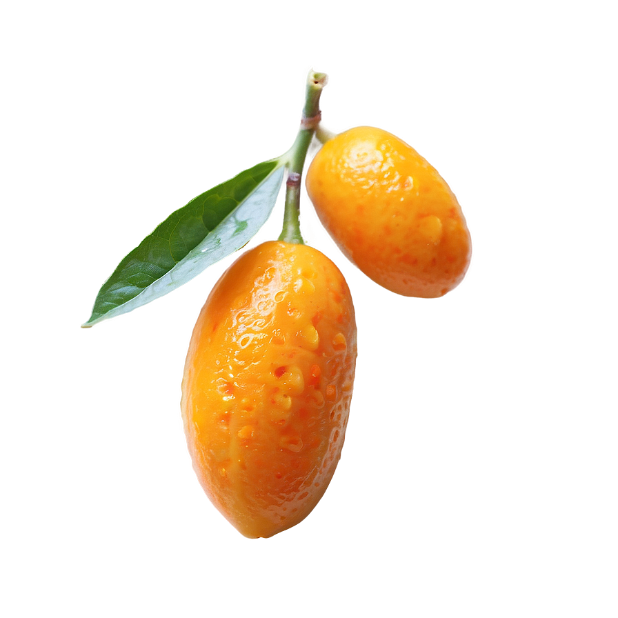 Kumquat D