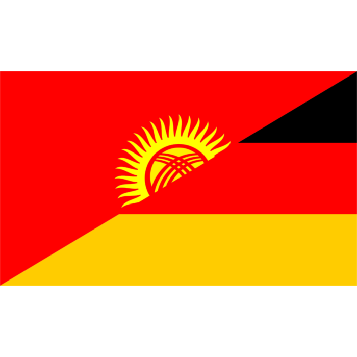 Kyrgyzstan Flag Graphic