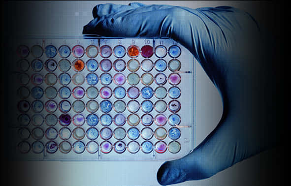 Laboratory Microplate Assay Analysis