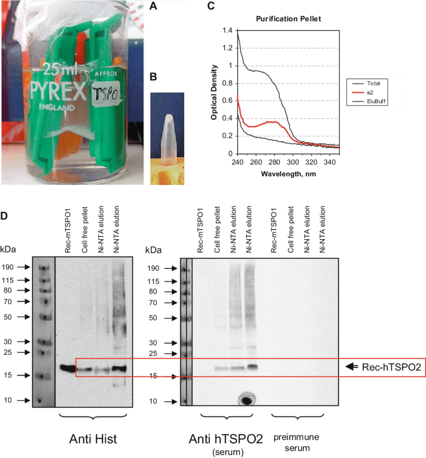 Laboratory Research Data Collage