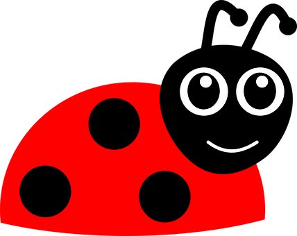 Ladybug