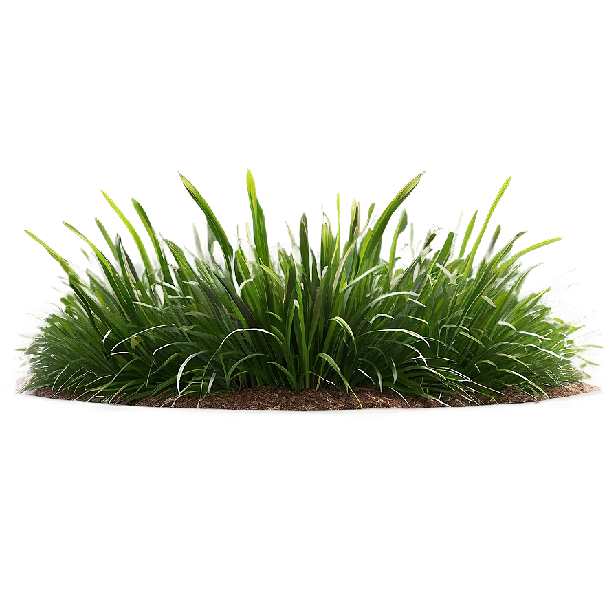 Landscape Grass Design Png 53