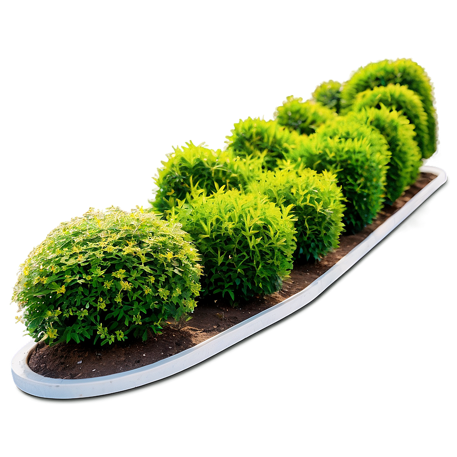 Landscaping Shrubs Png 06122024