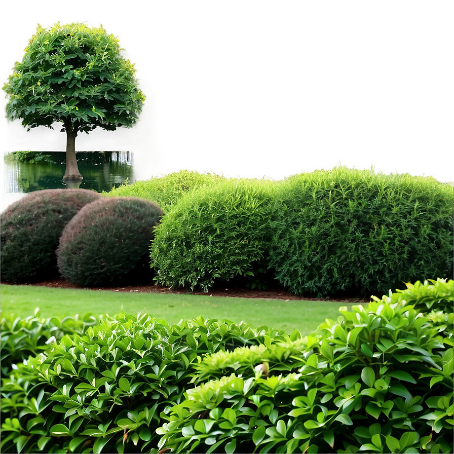 Landscaping Shrubs Png Xvc