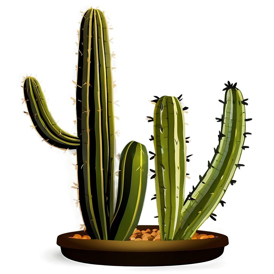 Large Cactus Png Gsx63