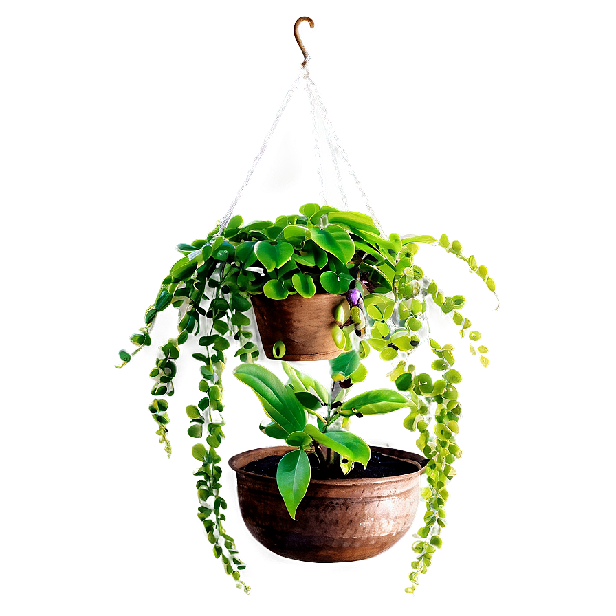 Large Hanging Plant Png Jeg