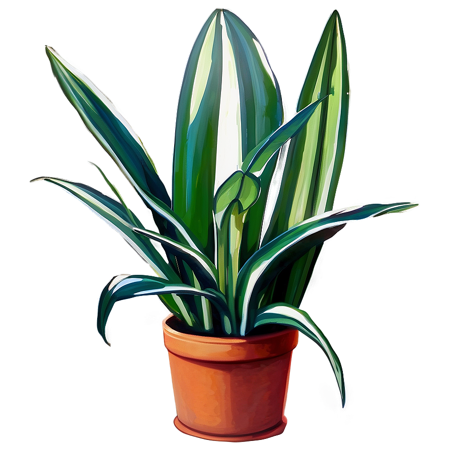 Large Snake Plant Png Etm