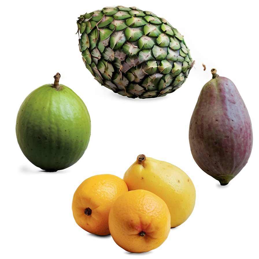 Latin America Tropical Fruits Png 06292024