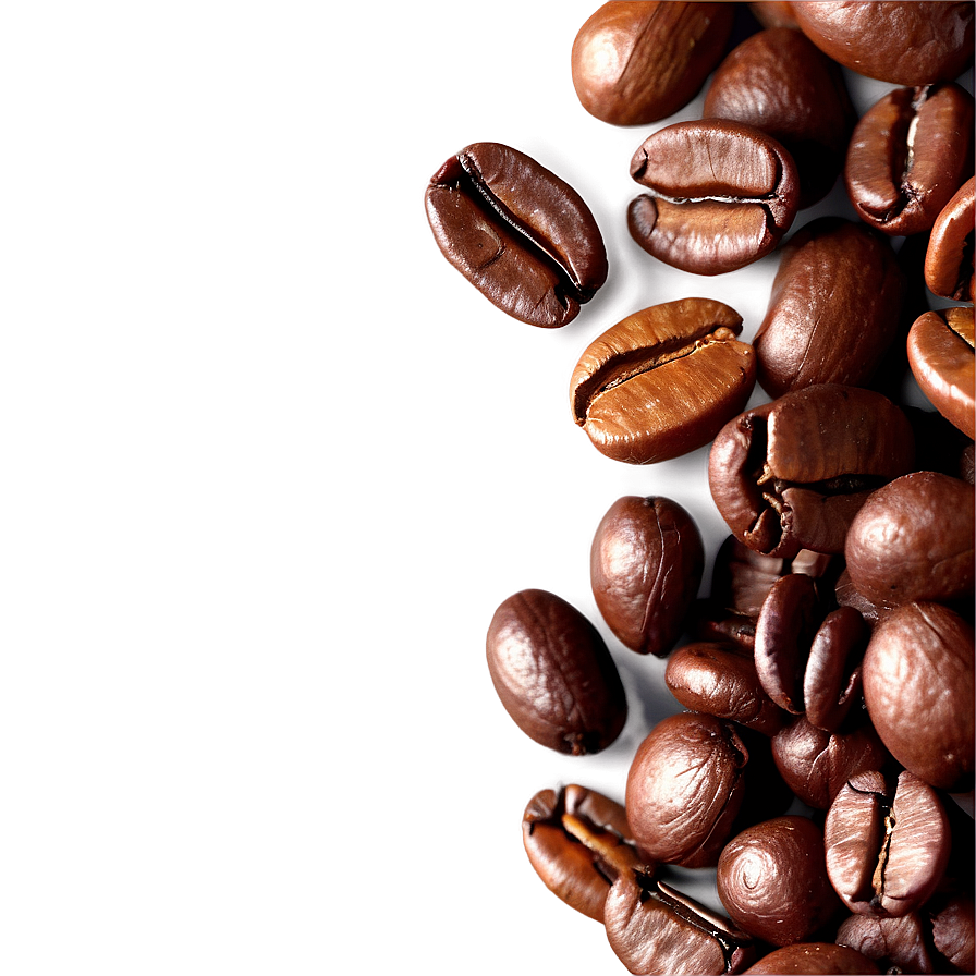 Latin American Coffee Beans Png 06292024