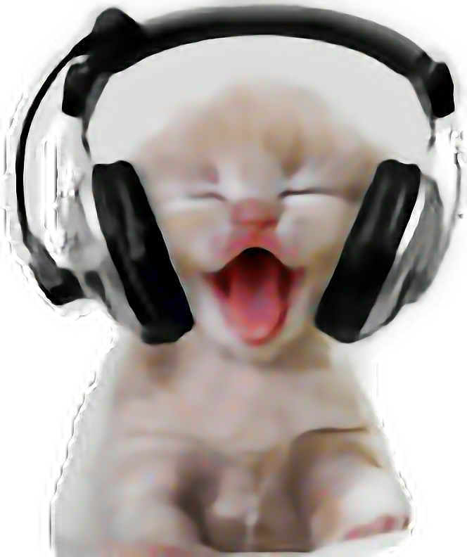 Laughing Catwith Headphones.png