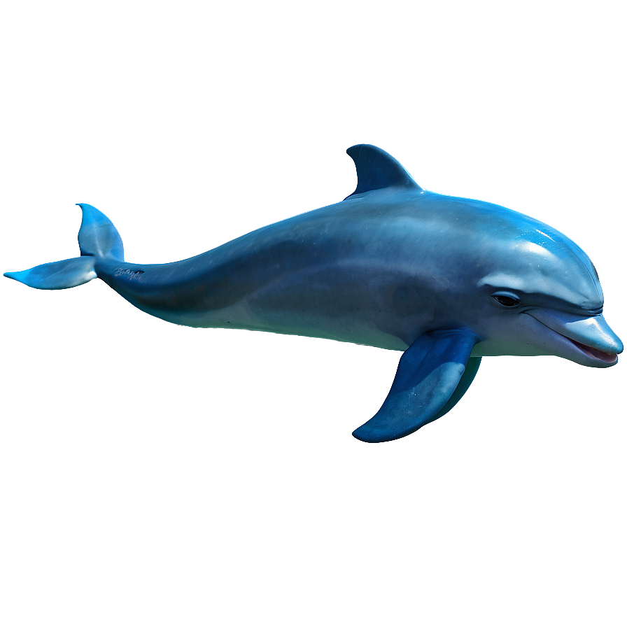 Laughing Dolphin Png Vvb