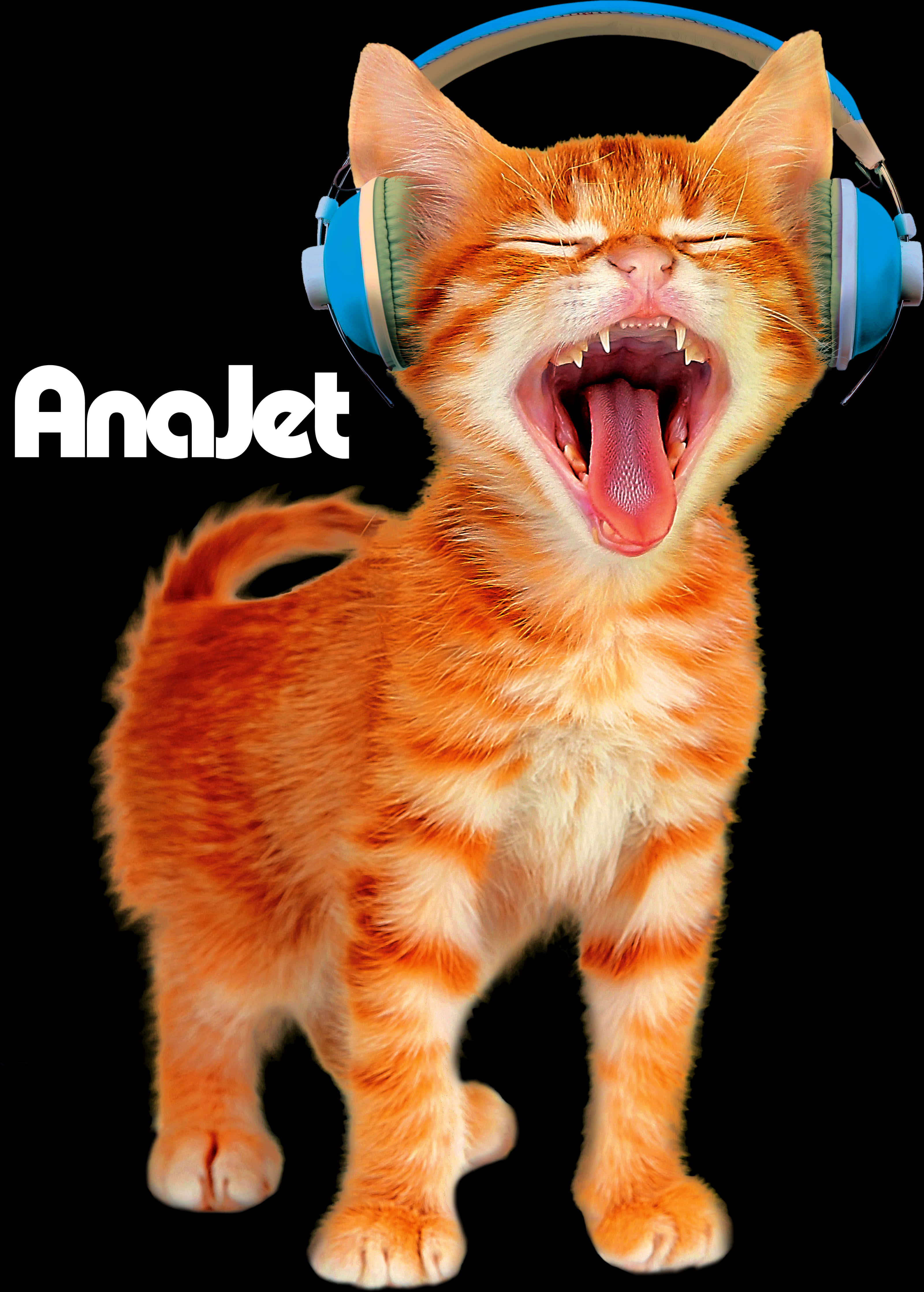 Laughing Orange Catwith Headphones