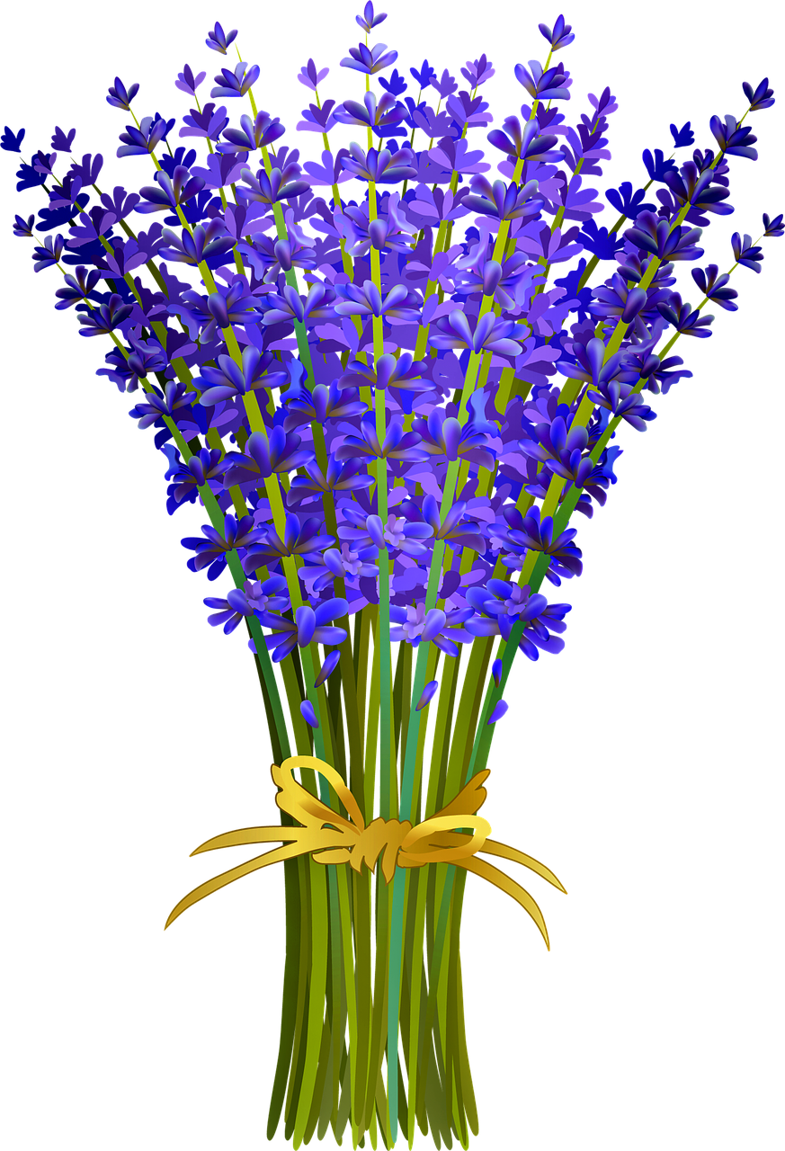 Lavender Bouquet Illustration