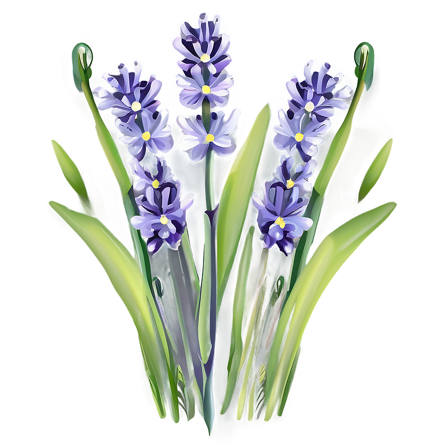 Lavender Field Flower Png 35