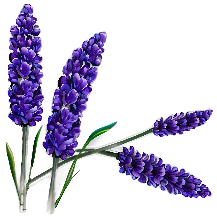 Lavender Floral Design Png 76