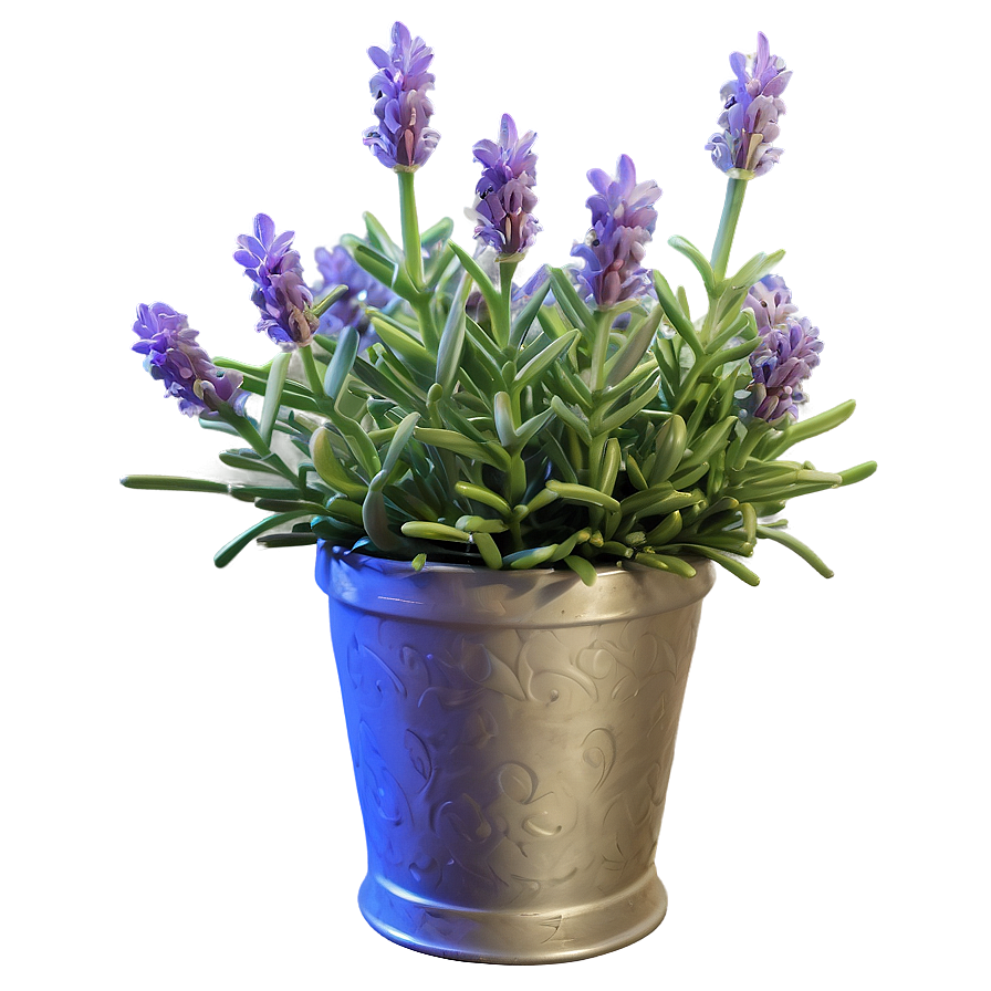 Lavender Flower Bush Png 06122024