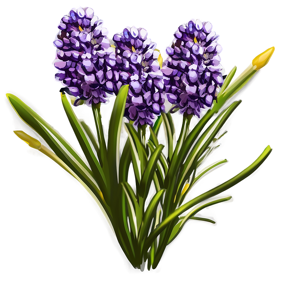 Lavender Flower Bush Png Wih