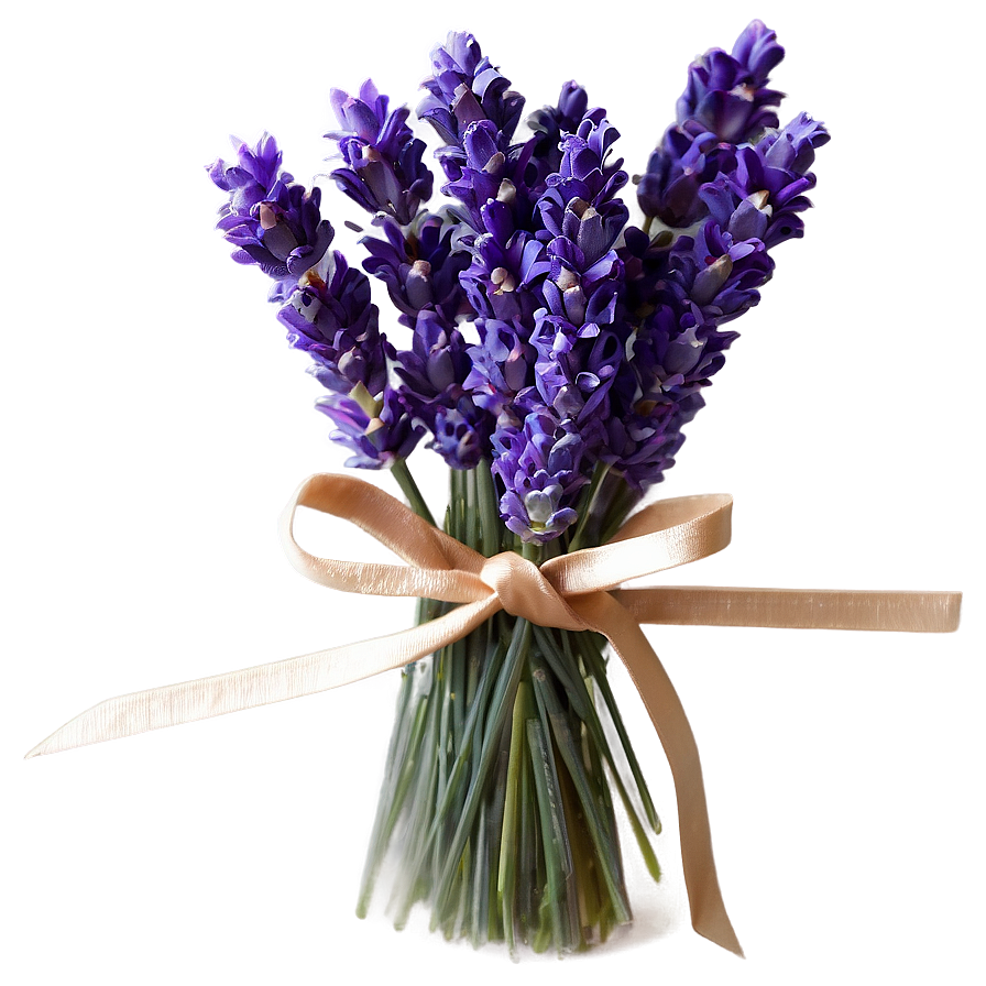 Lavender Greeting Card Png 05062024