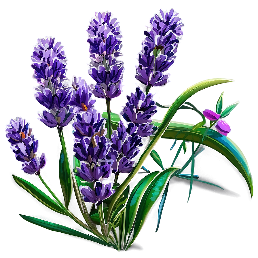 Lavender Herb Png Rit46