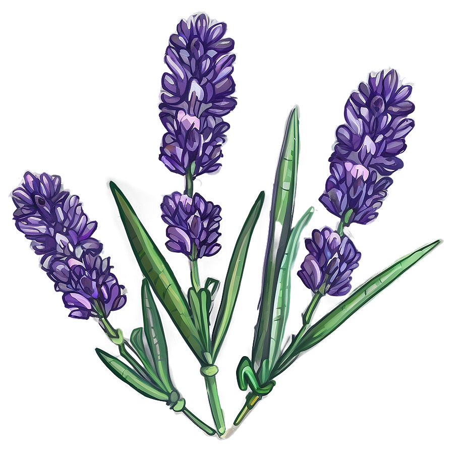 Lavender Herb Png Ujn