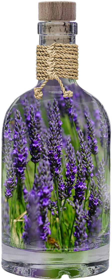 Lavender In Glass Bottle
