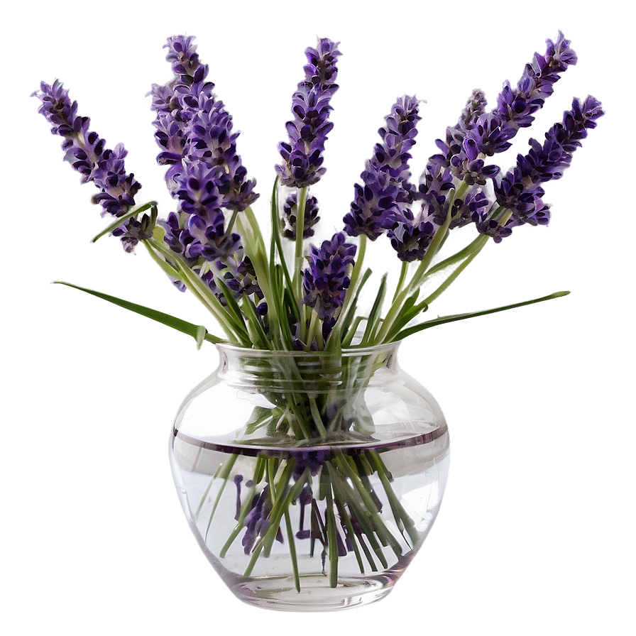 Lavender In Vase Png Doq