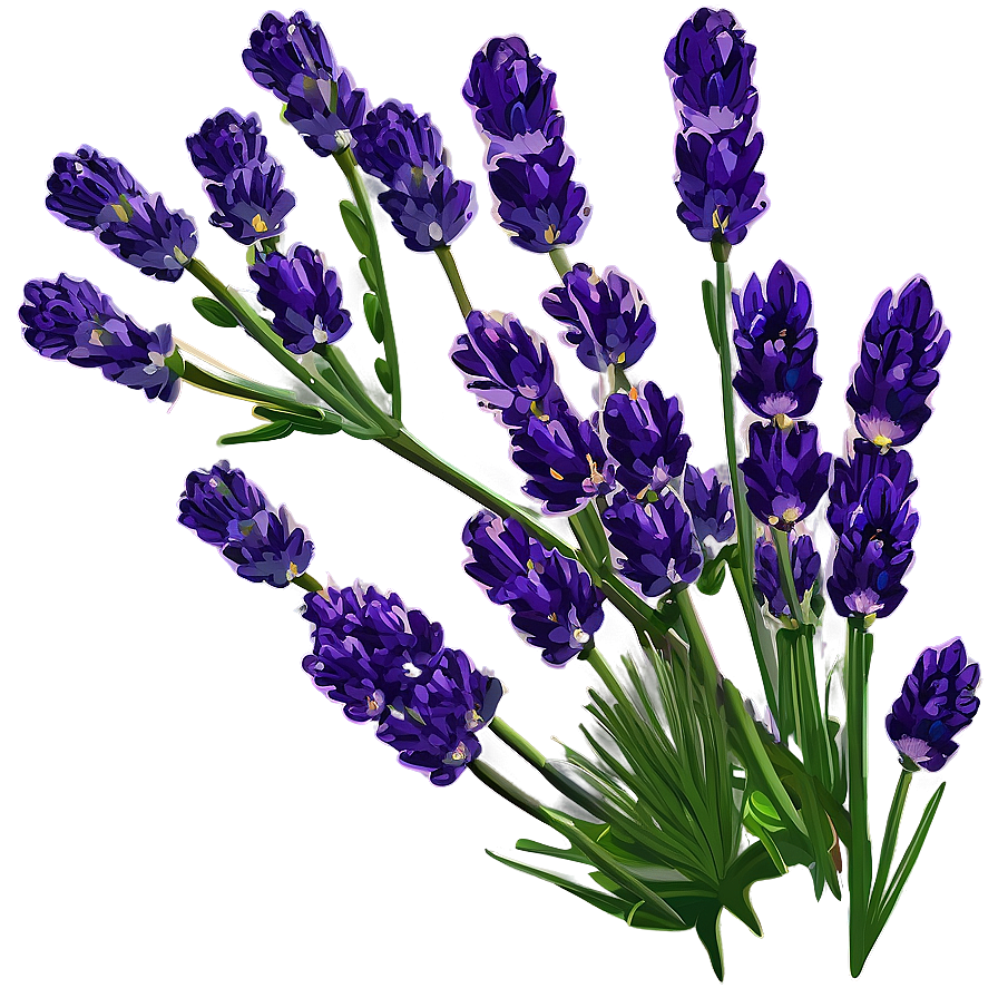 Lavender Nature Scene Png Bce70