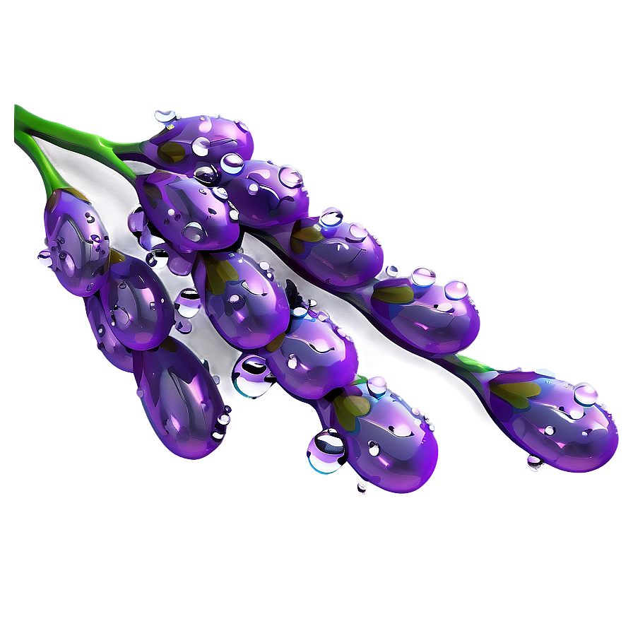 Lavender Sprig Water Droplets Png Nhh78