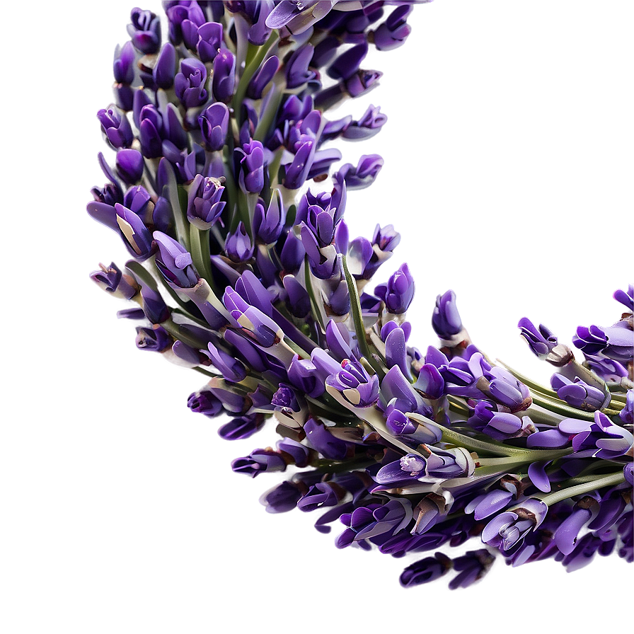 Lavender Wreath Circle Png Tey