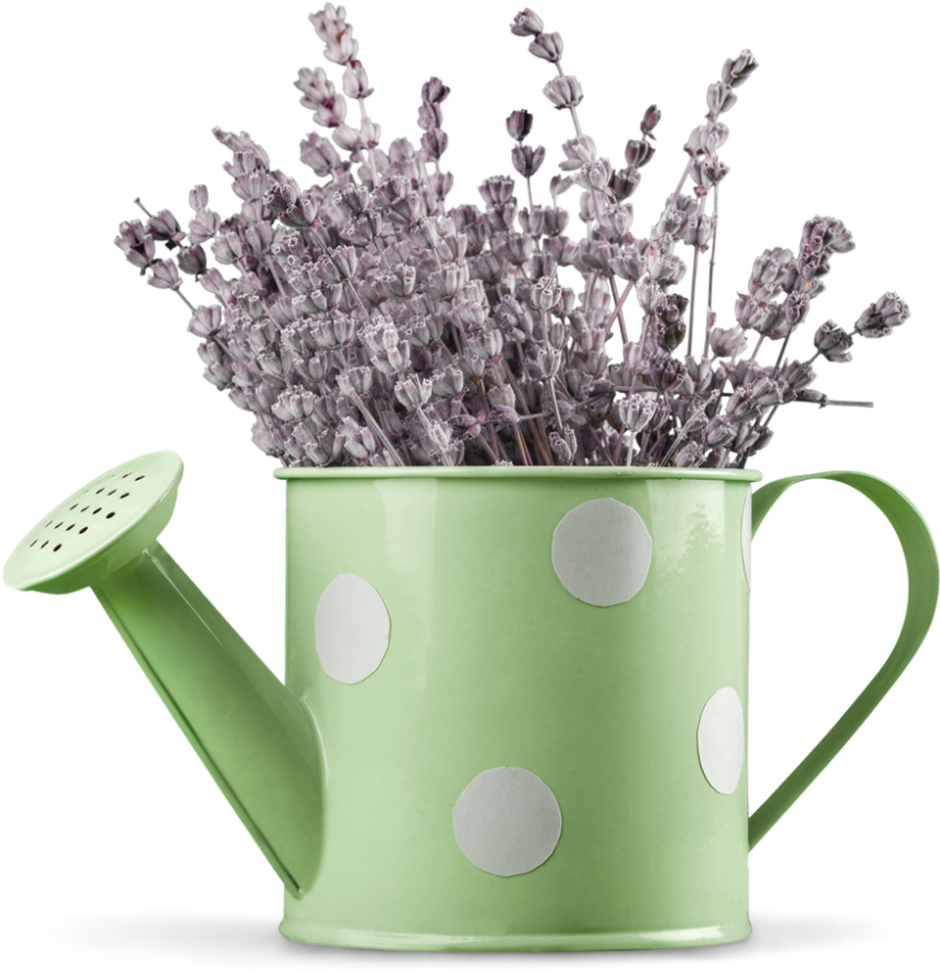 Lavenderin Green Watering Can