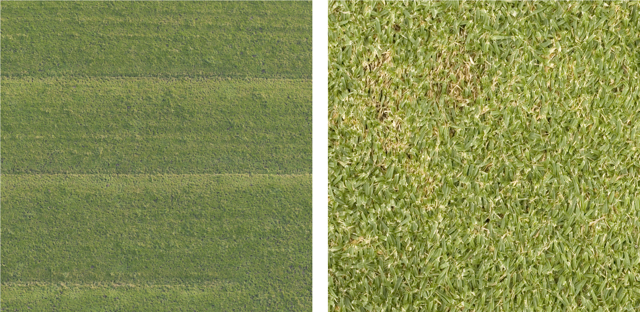 Lawn Grass Textures Comparison