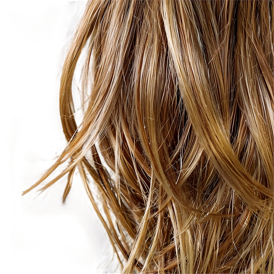 Layered Hair Texture Png 44