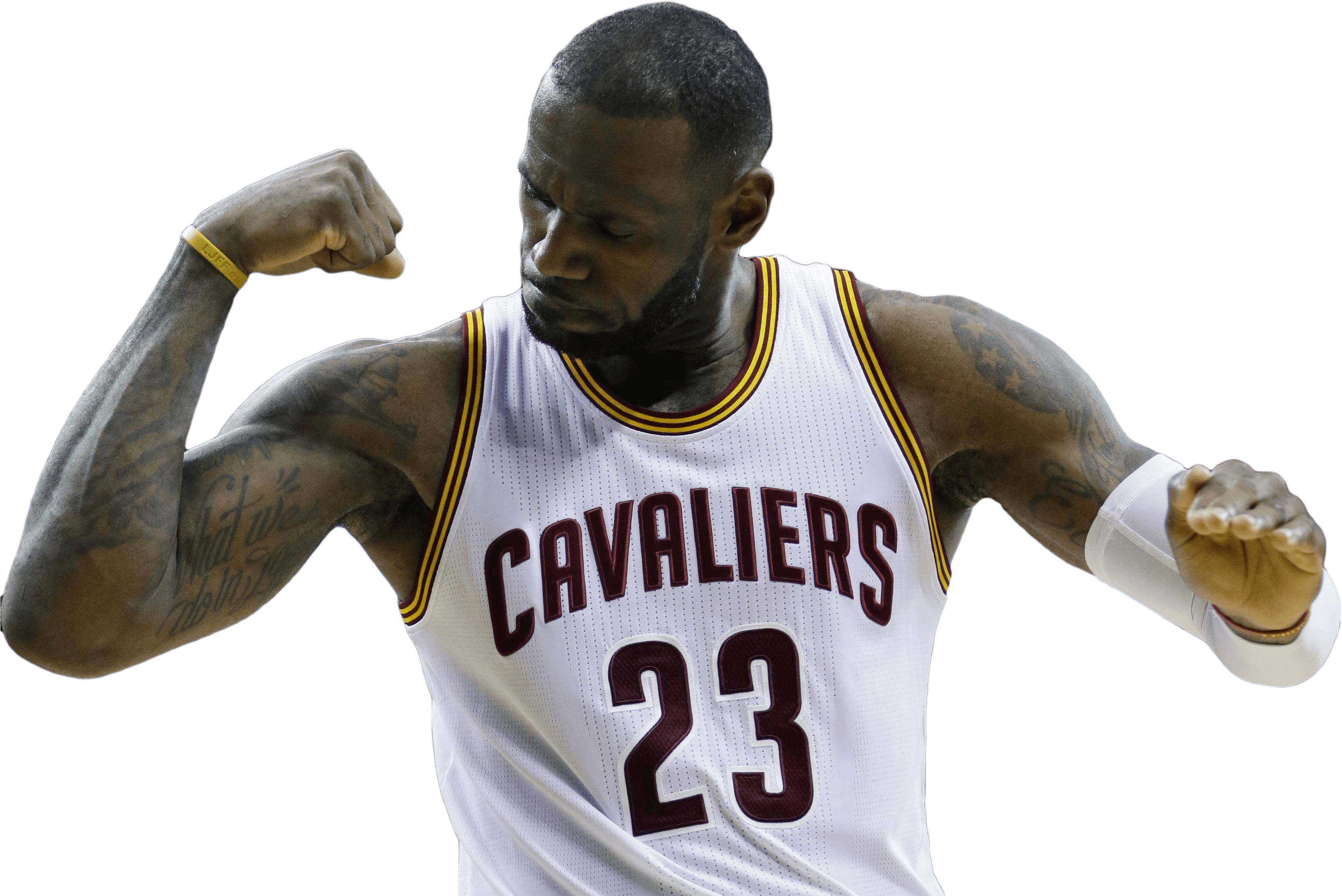 Le Bron Cavaliers Power Pose