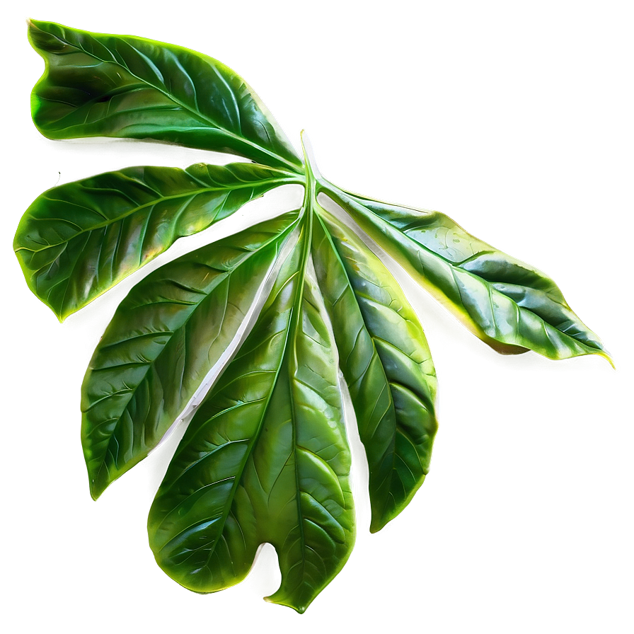 Leaf Background Png 67