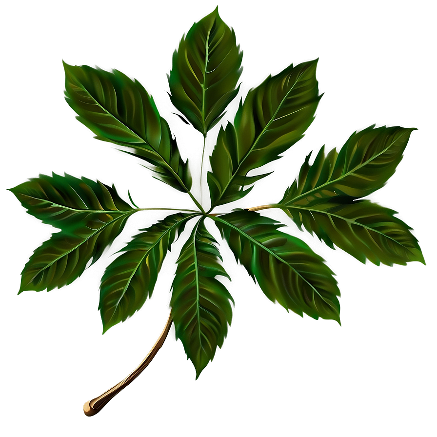 Leaf Branch Png Jjo