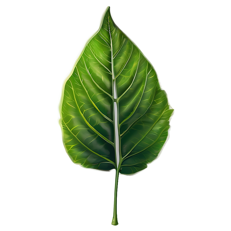 Leaf Branch Png Ock